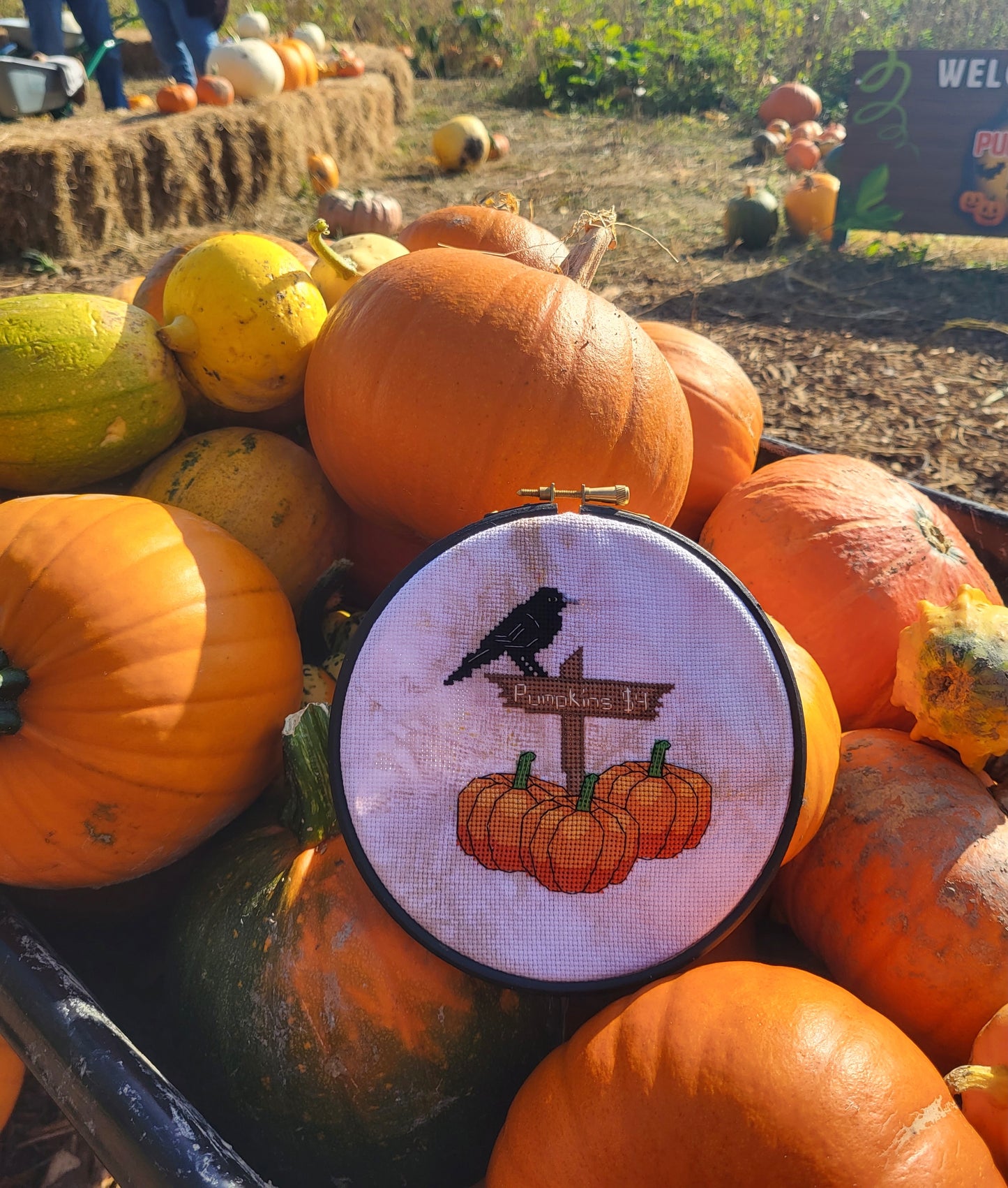 Pumpkin Patch cross stitch pattern PDF
